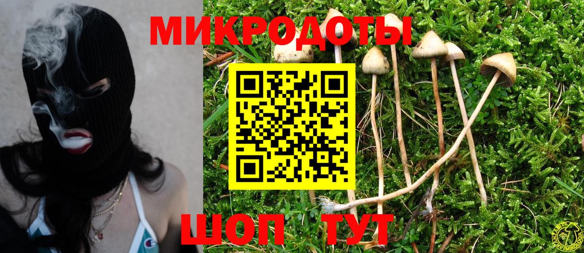 Псилоцибиновые грибы Cubensis  Вход с VPN  Минусинск 